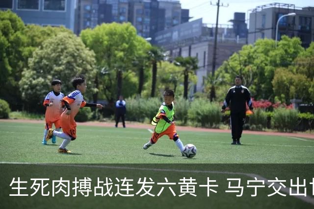 生死肉搏战连发六黄卡 马宁交出世界杯主哨首秀答卷