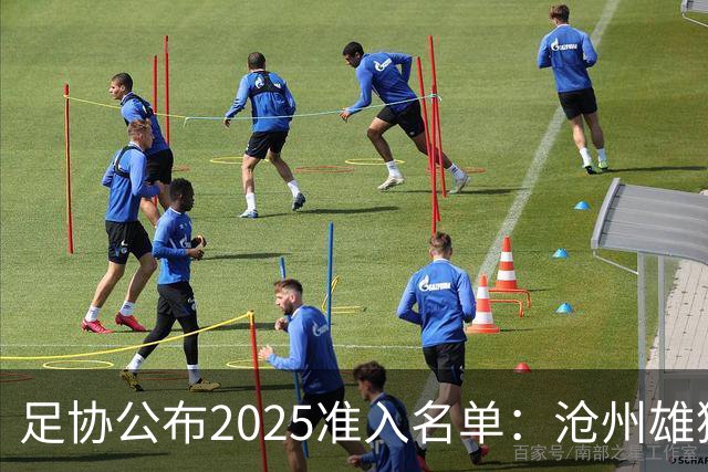 足协公布2025准入名单：沧州雄狮、广州队无缘